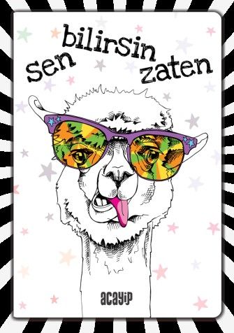 Havalı Panda / Çılgın Defterler
