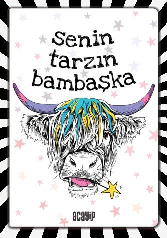 Havalı Lama / Çılgın Defterler