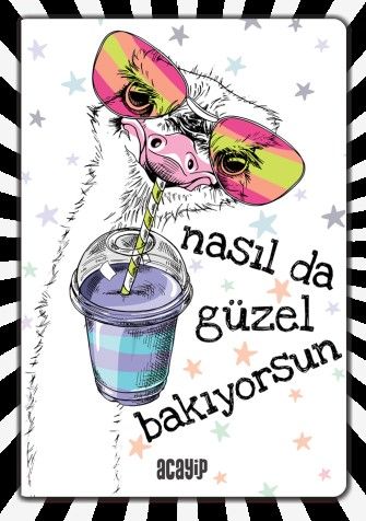 Havalı Tembel Hayvan / Çılgın Defterler